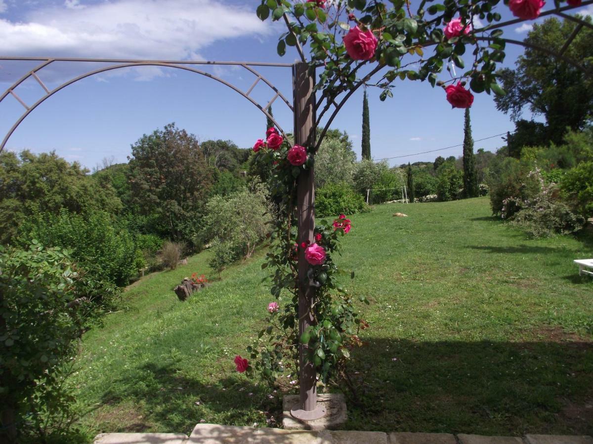 Soleil Et Farniente Apartment Cervione Exterior photo